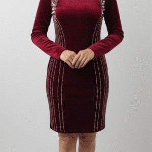 Women's Elegant Minimal Party Dress Maroon