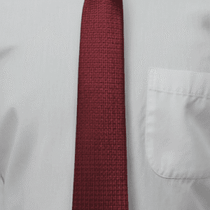 Red Solid Formal Tie for Office & Events